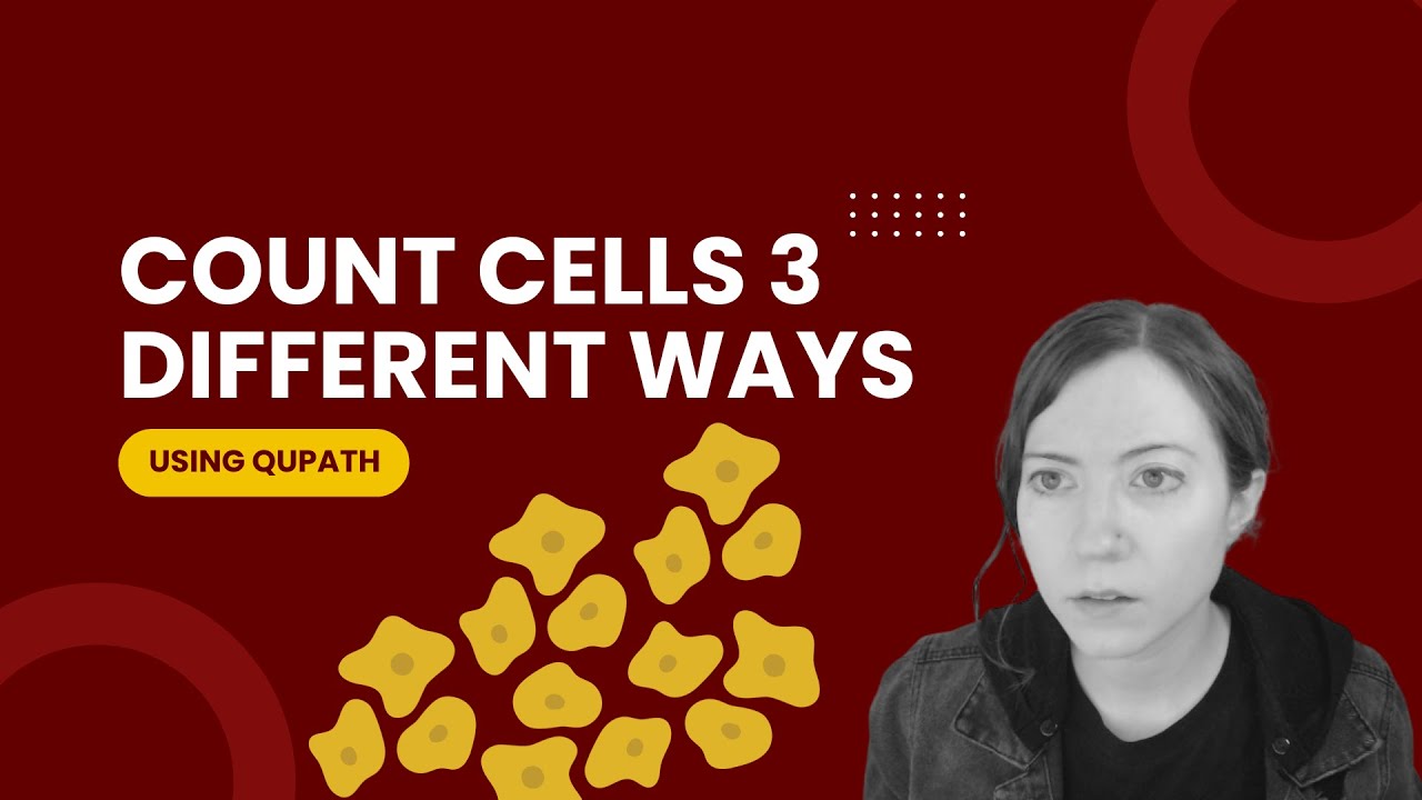 Image with curved border